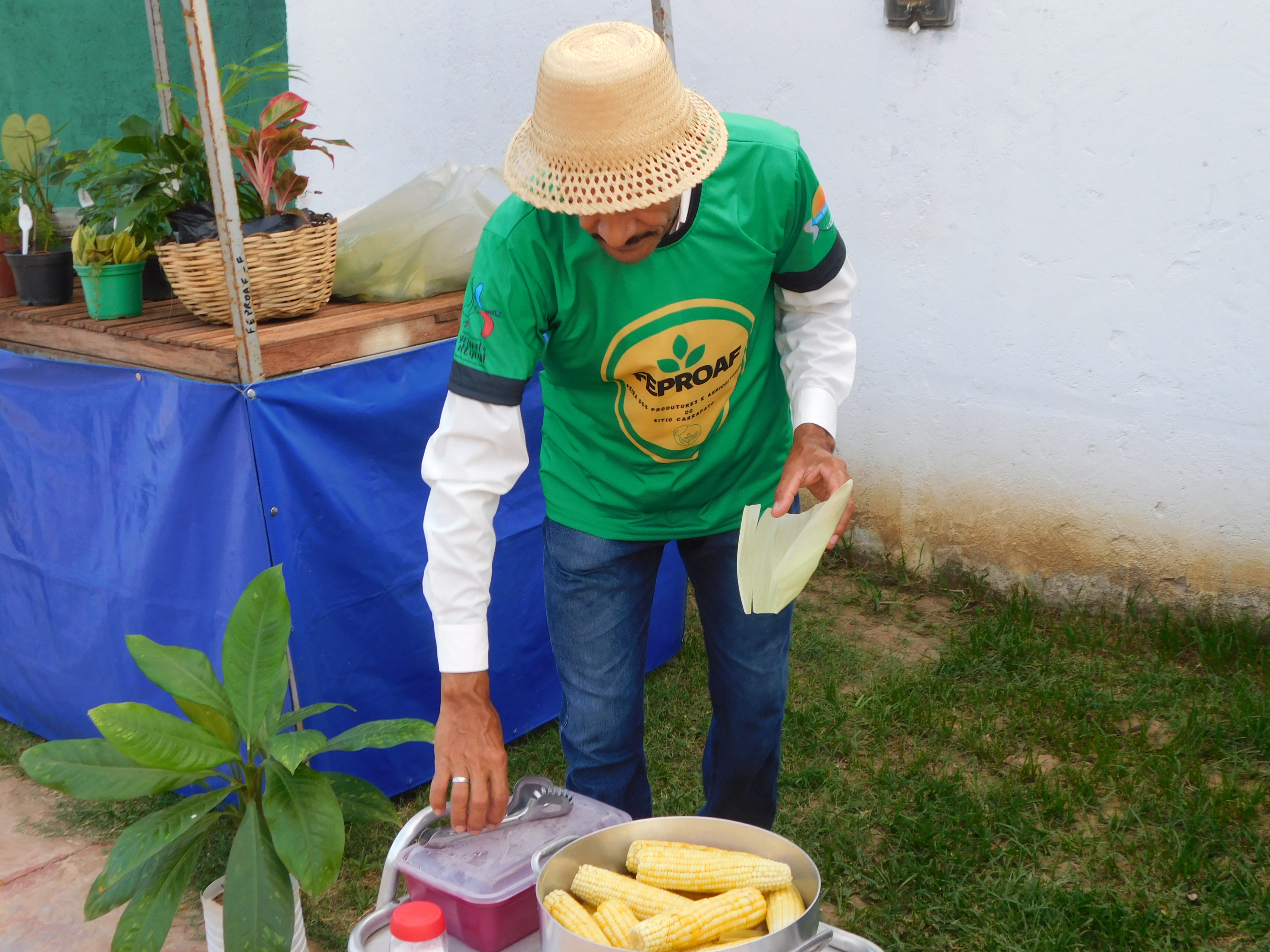 carrapatocultural.com 